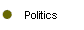 Politics 