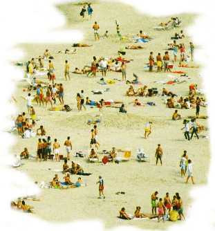 People at the beach